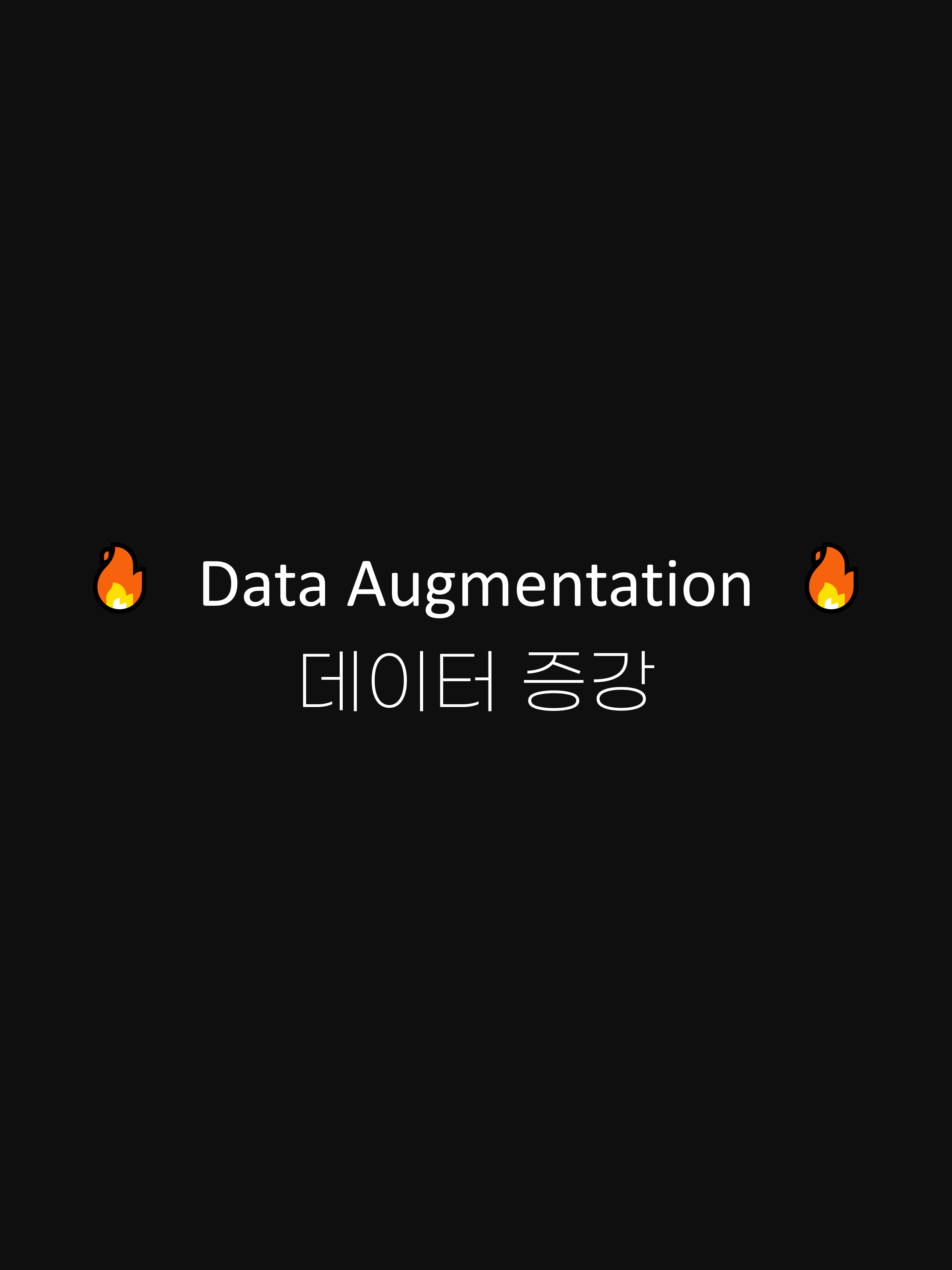 Data Augmentation