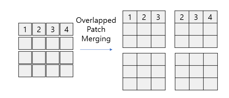 segformer5
